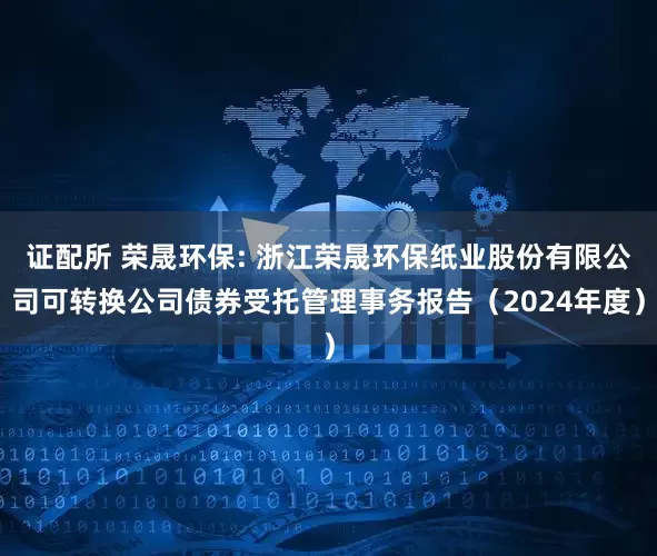 证配所 荣晟环保: 浙江荣晟环保纸业股份有限公司可转换公司债券受托管理事务报告(2024年度)