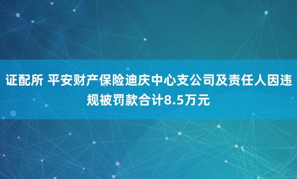 证配所 平安财产保险迪庆中心支公司及责任人因违规被罚款合计8.5万元