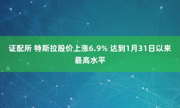 证配所 特斯拉股价上涨6.9% 达到1月31日以来最高水平