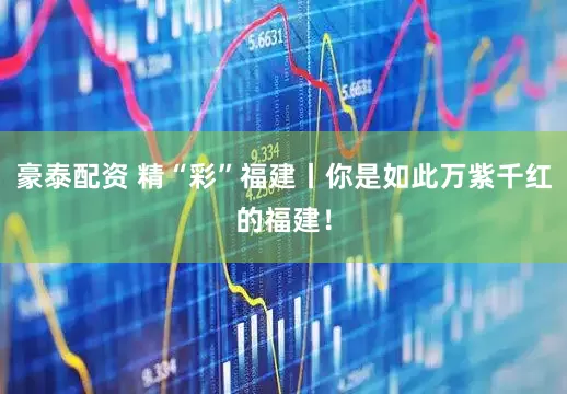 豪泰配资 精“彩”福建丨你是如此万紫千红的福建！